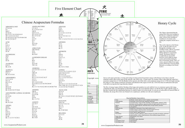 Acupuncture Meridian Handbook
