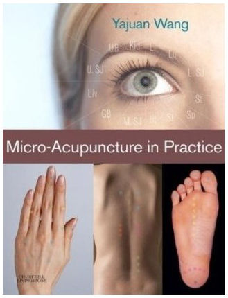 Micro-Acupuncture in Practice