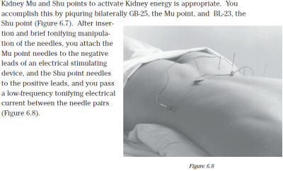 Acupuncture Energetics A Clinical Approach for Physicians