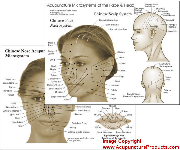 Microsystems of Acupuncture Chart