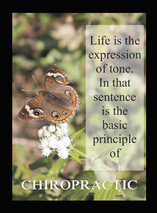 Expression of Tone Quote
