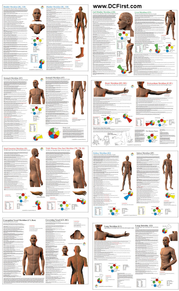 Acupuncture Points Posters