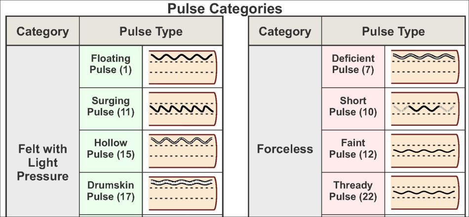 Chinese Pulse Diagnosis Categories Poster