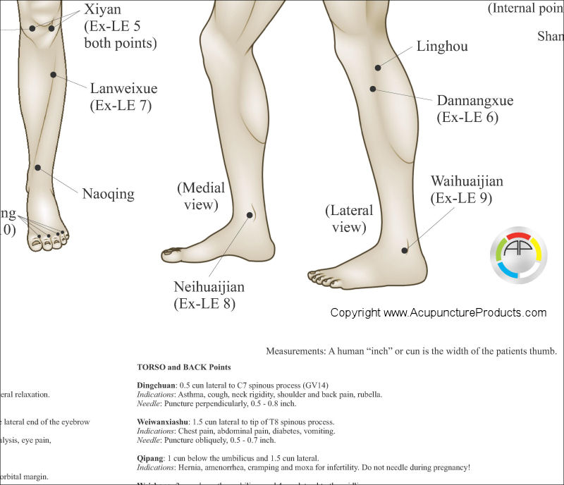 Extraordinary Acupuncture Points