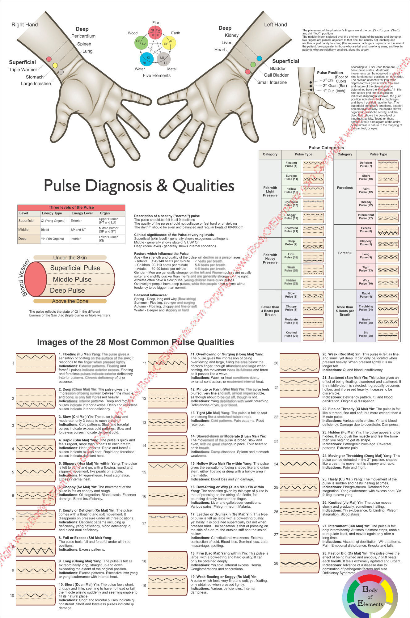 Pulse Diagnosis Poster