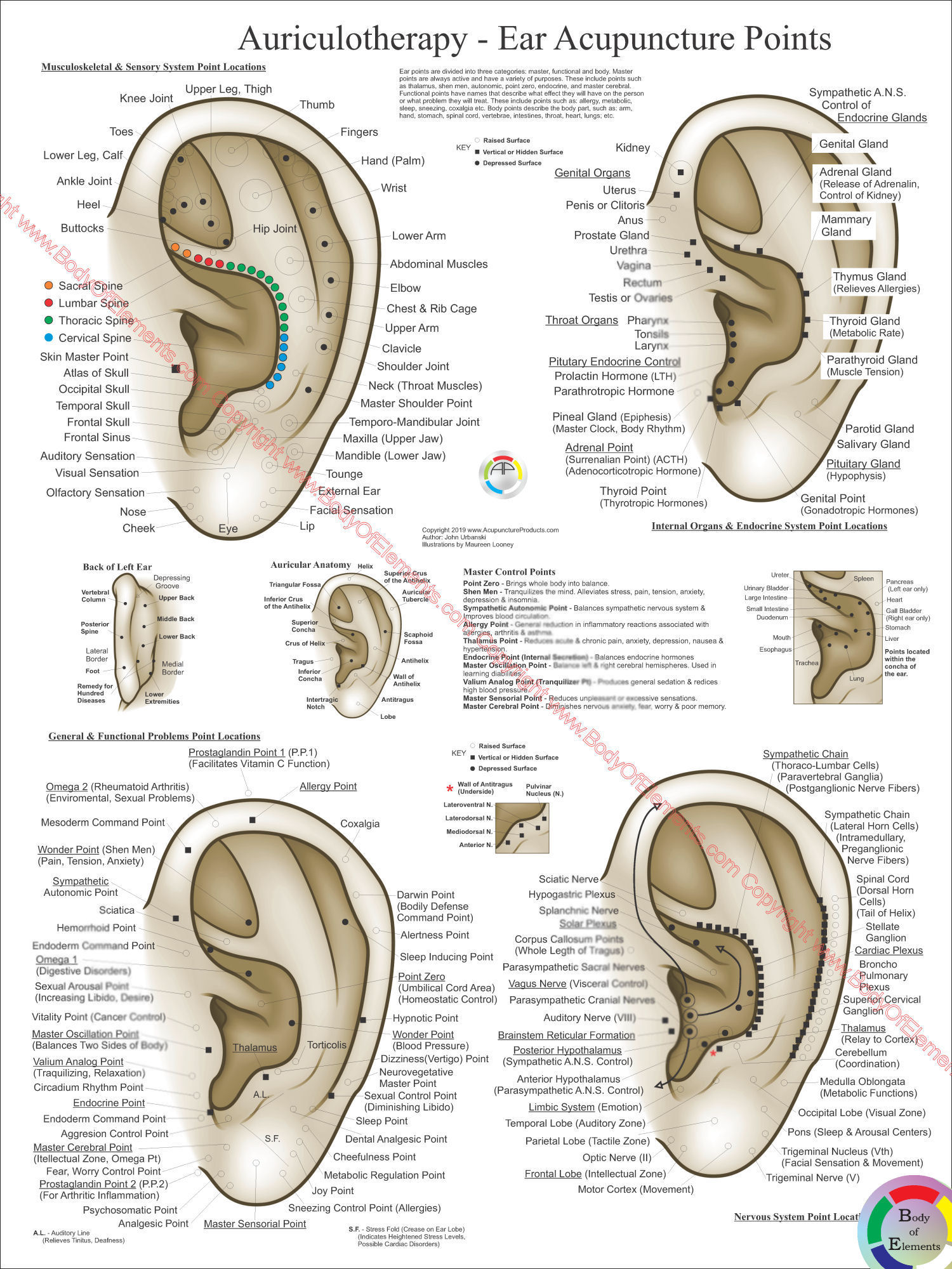 Auricular Ear Acupuncture