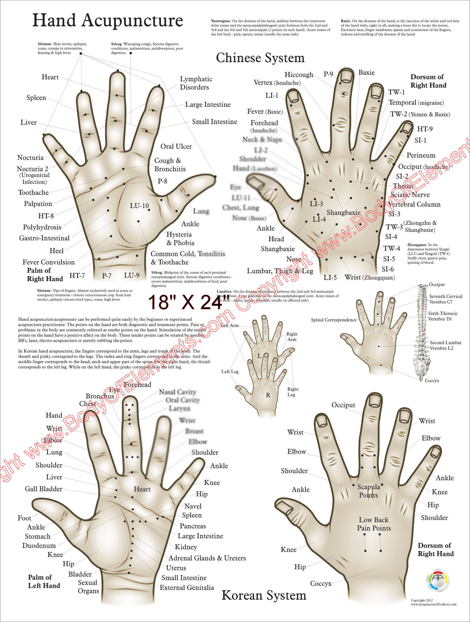 Chinese and Korean Hand Acupuncture Wall Chart