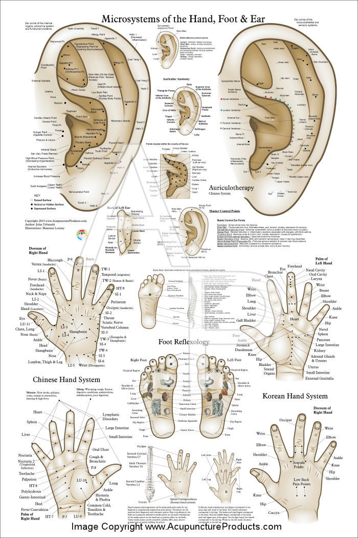 acupuncture-microsystem-poster-24-x-36