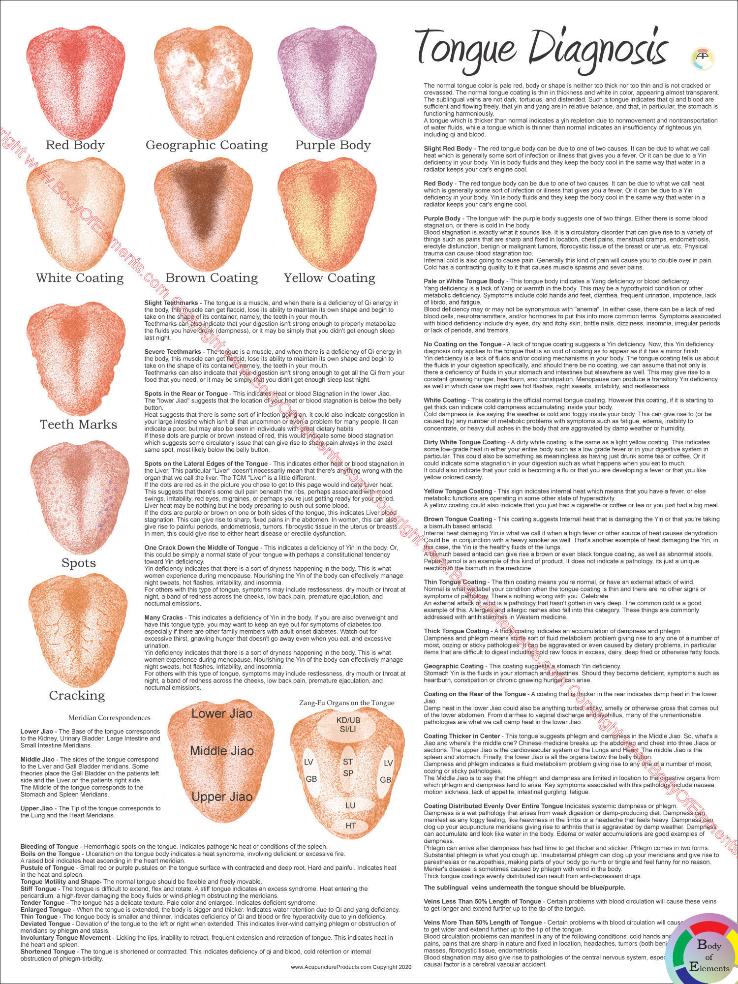 tongue-diagnosis-poster