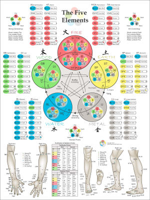 TCM clock elements meridians organs acupuncture Paper Plates | Zazzle