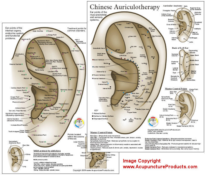 Chinese System of Auricular Ear Acupuncture Chart