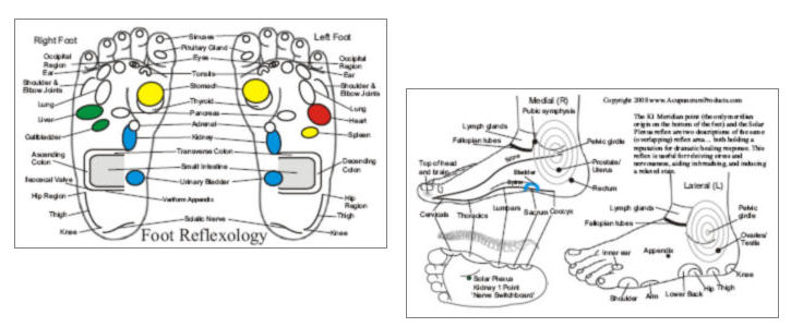 Foot Reflexology Acupressure Card