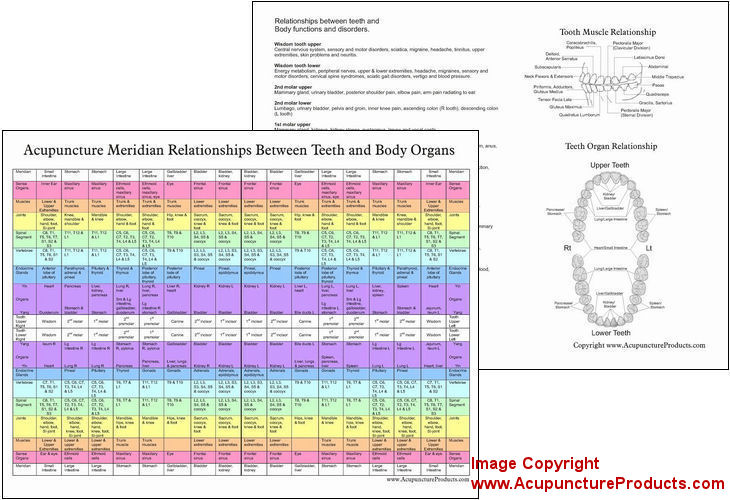 Tooth Acupuncture Meridian Chart