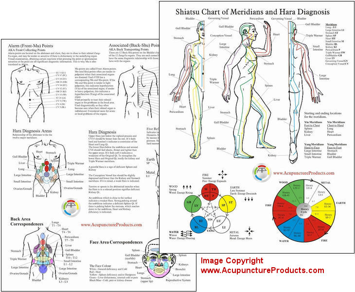 Shiatsu Chart of Meridians and Hara Diagnosis