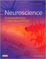 Neuroanatomy and Neurology Books