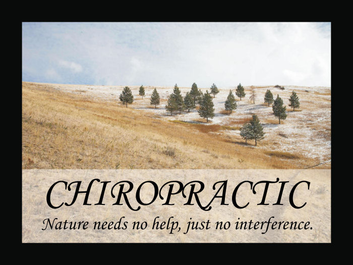 Chiropractic Quotation