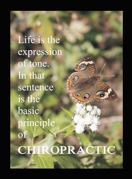 Principle of Chiropractic Quote