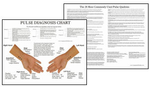 Pulse Diagnosis Chart