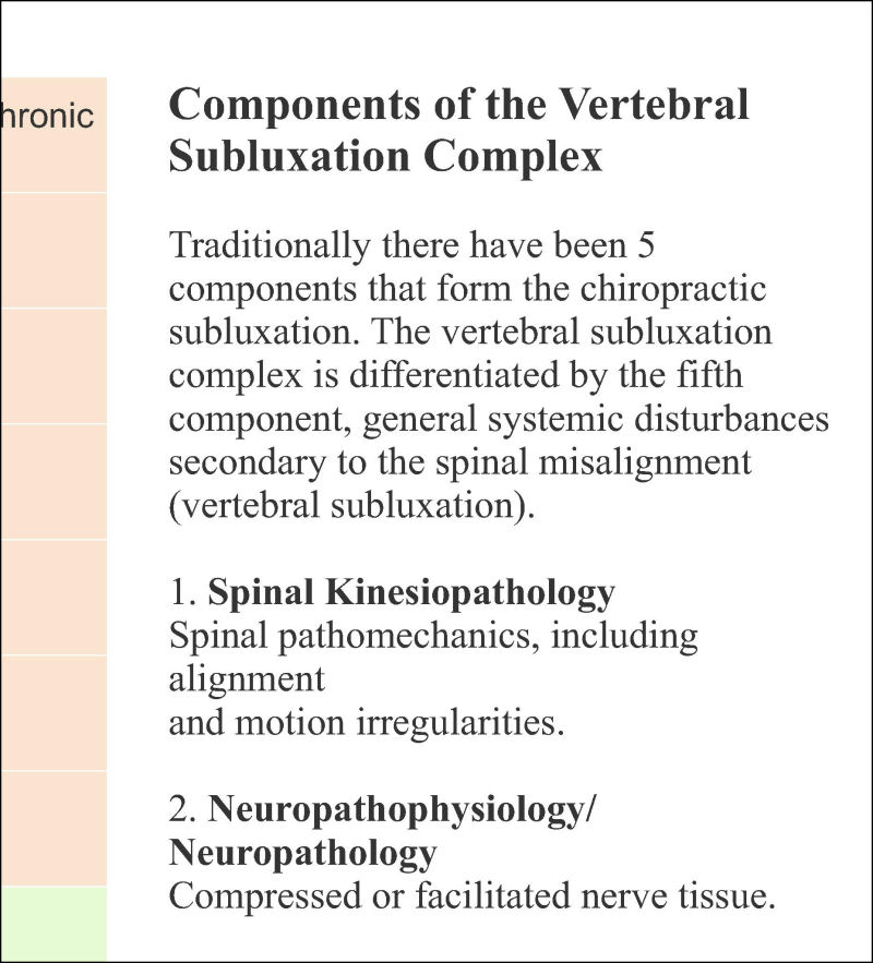 Components of Vertebral Subluxation Complex