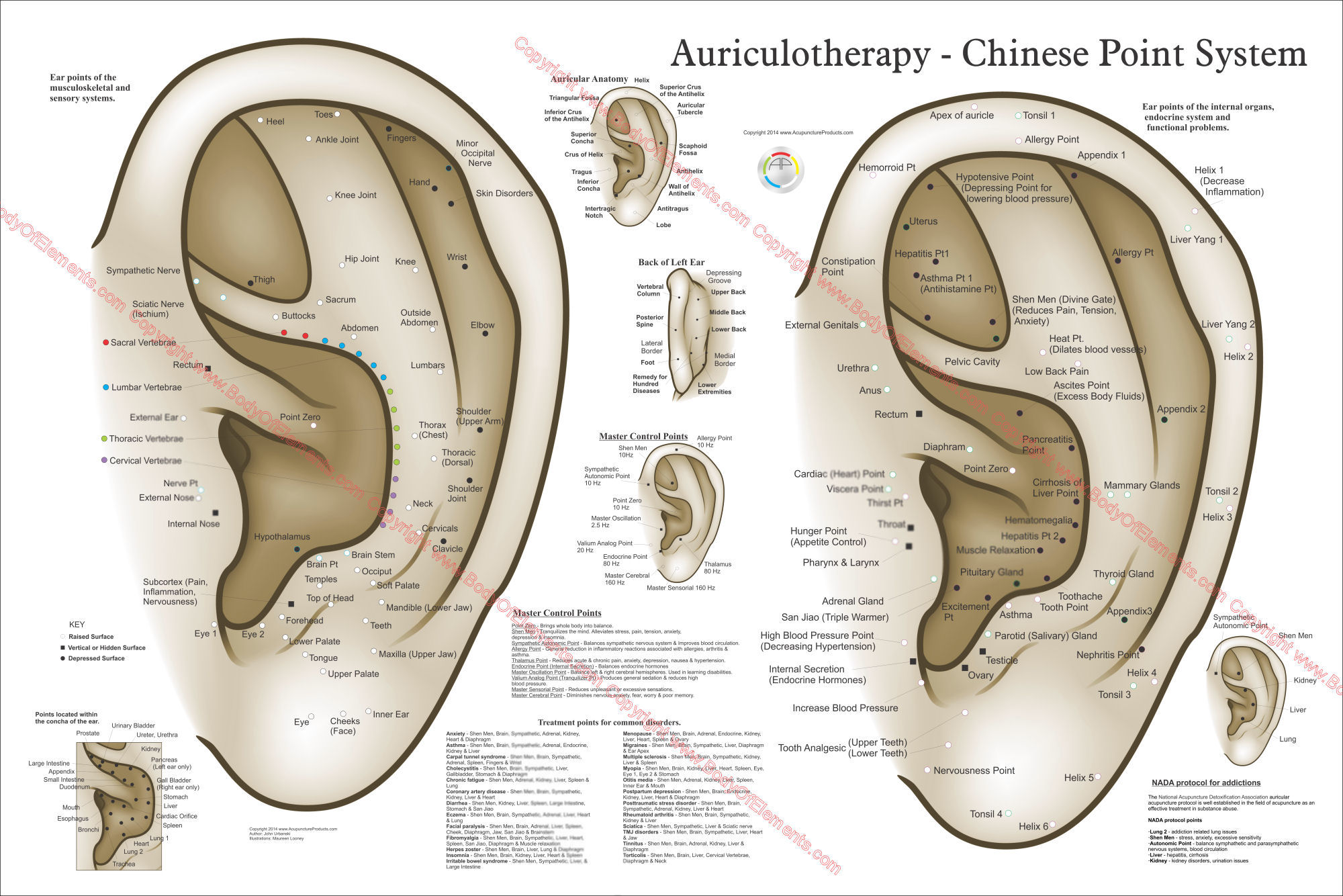 Chinese System of Auricular Ear Acupuncture